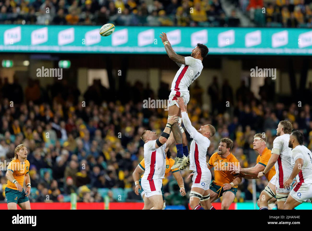 SYDNEY, AUSTRALIE - JUILLET 16 : Courtney Lawes se prépare à prendre le ballon pendant le troisième match de la série internationale de matchs de test entre les wallabies australiens et l'Angleterre à la SCG on 16 juillet 2022 à Sydney, Australie crédit : IOIO IMAGES/Alamy Live News Banque D'Images