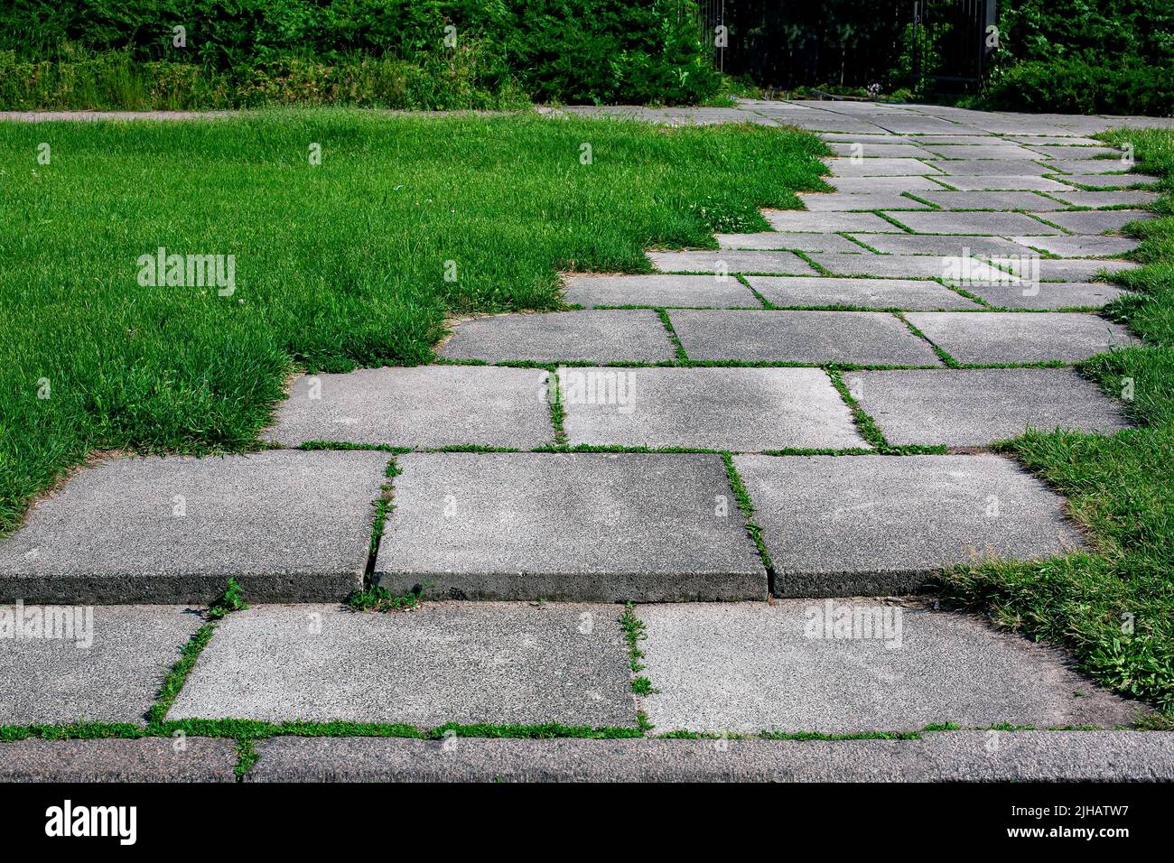 chemin de parc incurvé fait de carreaux de pierre carrée surcultivée avec de l'herbe dans un parc avec une pelouse verte en gros plan de chemin sur le parc près des plantes éclairées par le soleil, nobod Banque D'Images