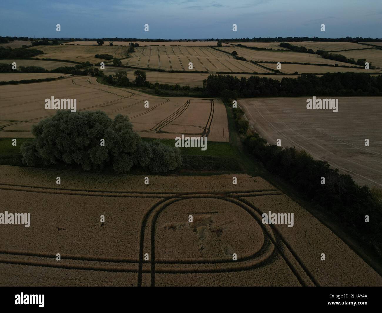 Formation de la récolte du diable de tonte. Northamptonshire. Angleterre. ROYAUME-UNI Banque D'Images