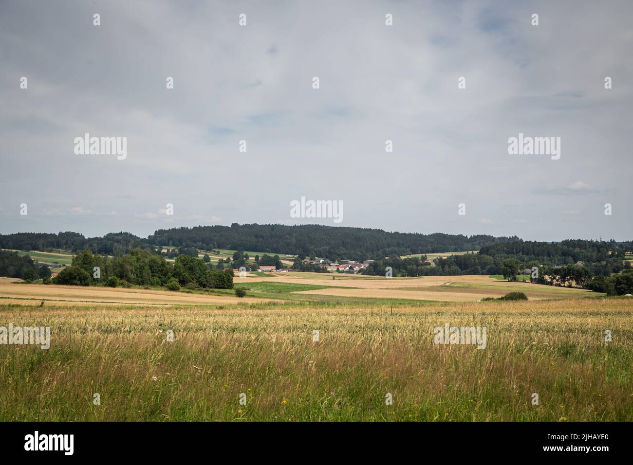 Paysage typique de Waldviertel - champs, prairies et forêt - randonnée près de Siebenlinden dans le Waldviertel, Autriche Banque D'Images