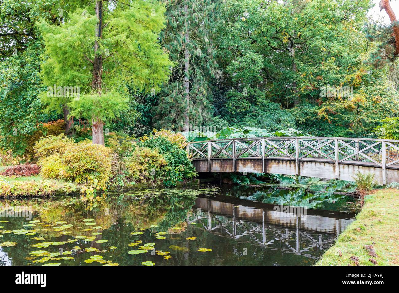 Petit pont en bois au-dessus d'une pièce d'eau dans le parc Tatton, un domaine historique de Cheshire, en Angleterre. Banque D'Images