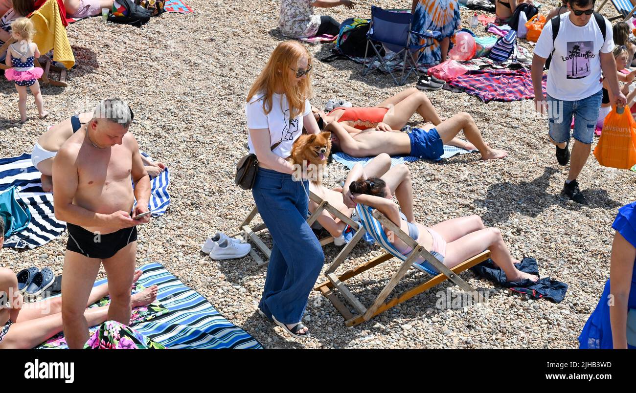 Brighton UK 17th juillet 2022 - Une jeune femme porte son chien comme Brighton Beach est emballé comme des milliers de visiteurs apprécient le soleil chaud comme un avertissement de temps rouge extrême a été émis pour les deux prochains jours à travers le pays : crédit Simon Dack / Alamy Live News Banque D'Images