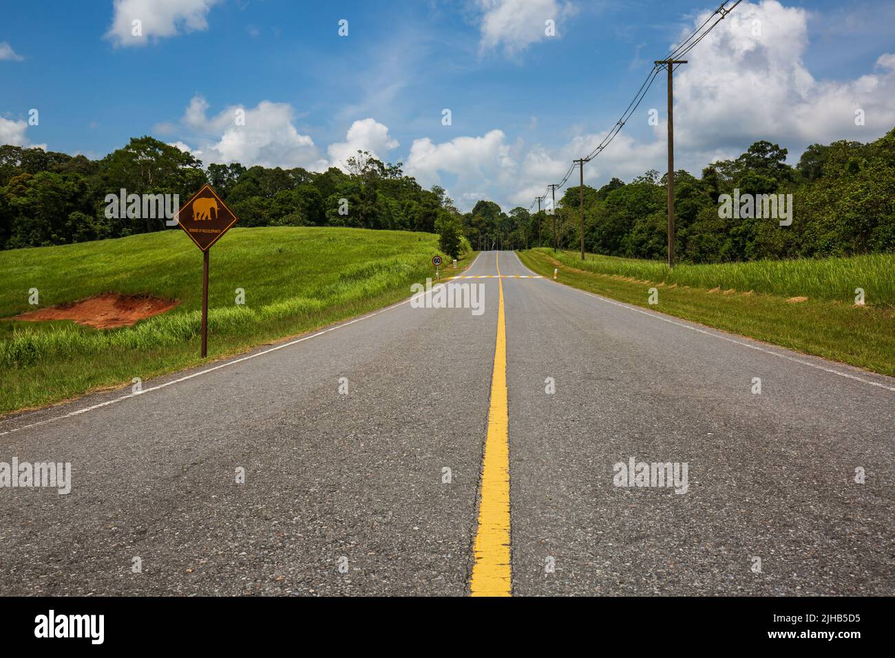 Panneau de signalisation routière éléphant attention à en thaïlande Banque D'Images