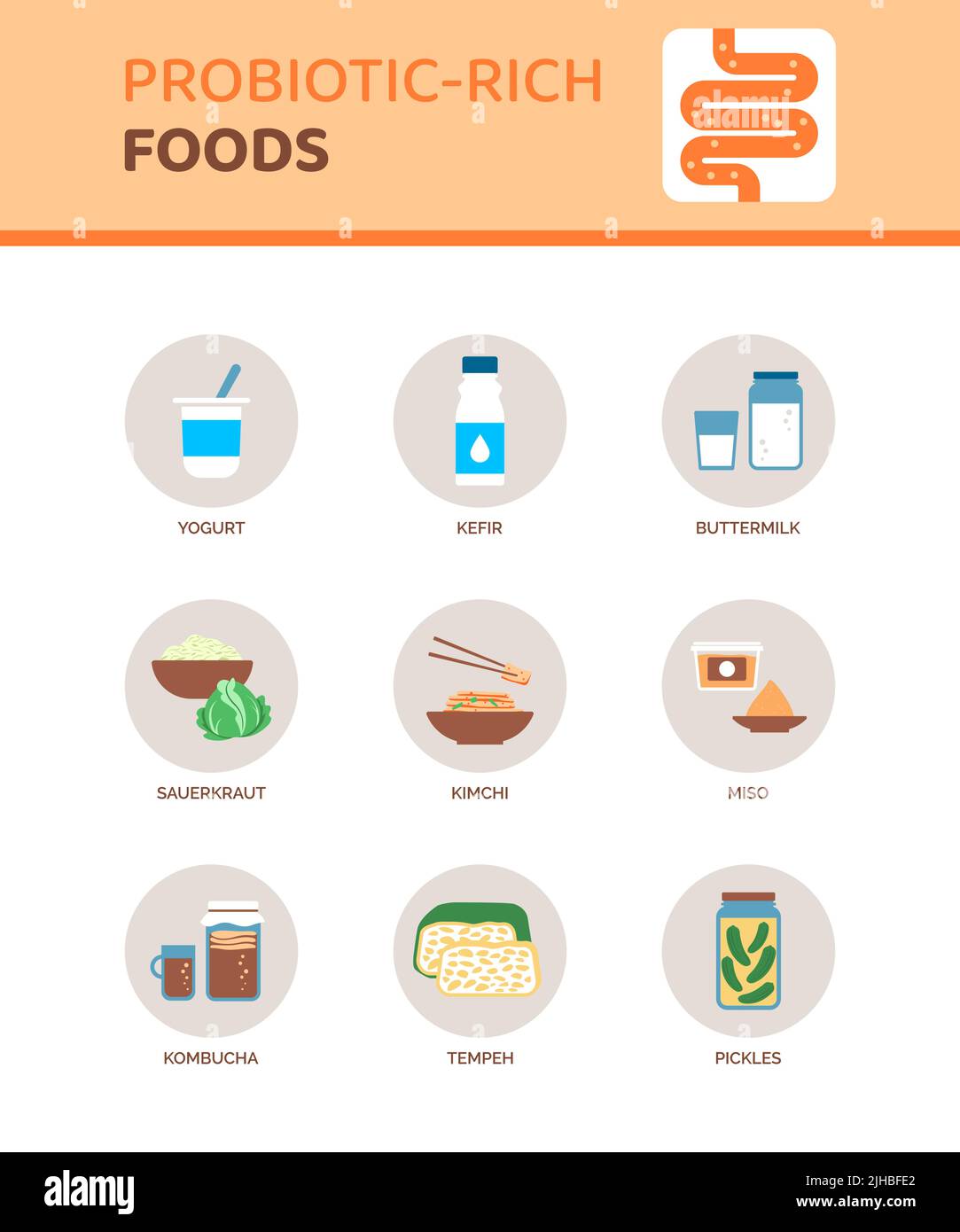 Alimentation riche en probiotiques pour une meilleure santé digestive, infographie avec icônes Illustration de Vecteur