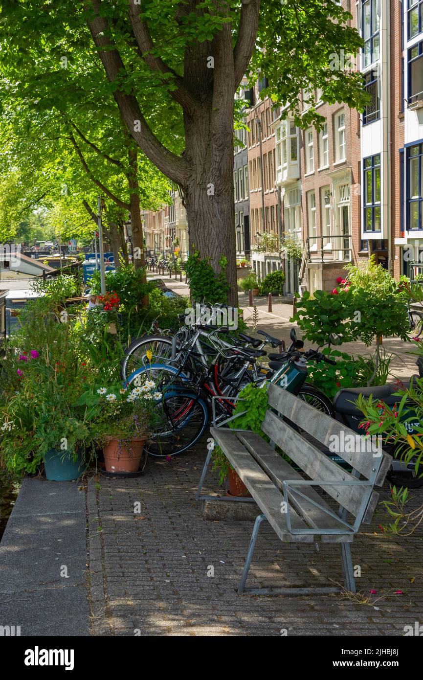 Banc au bord du canal sur le Prinsengracht, Amsterdam, pays-Bas Banque D'Images