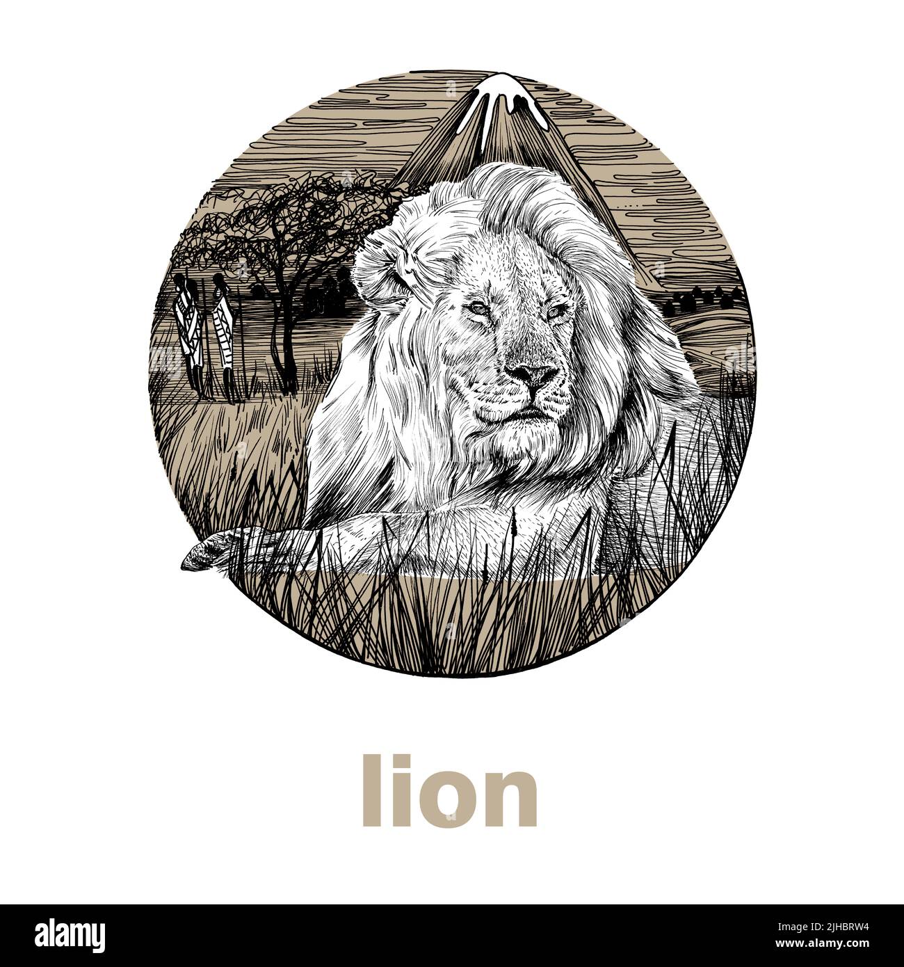 Lion dessiné à la main, illustration de graphiques d'esquisse sur fond blanc (originaux, pas de tracé) Banque D'Images
