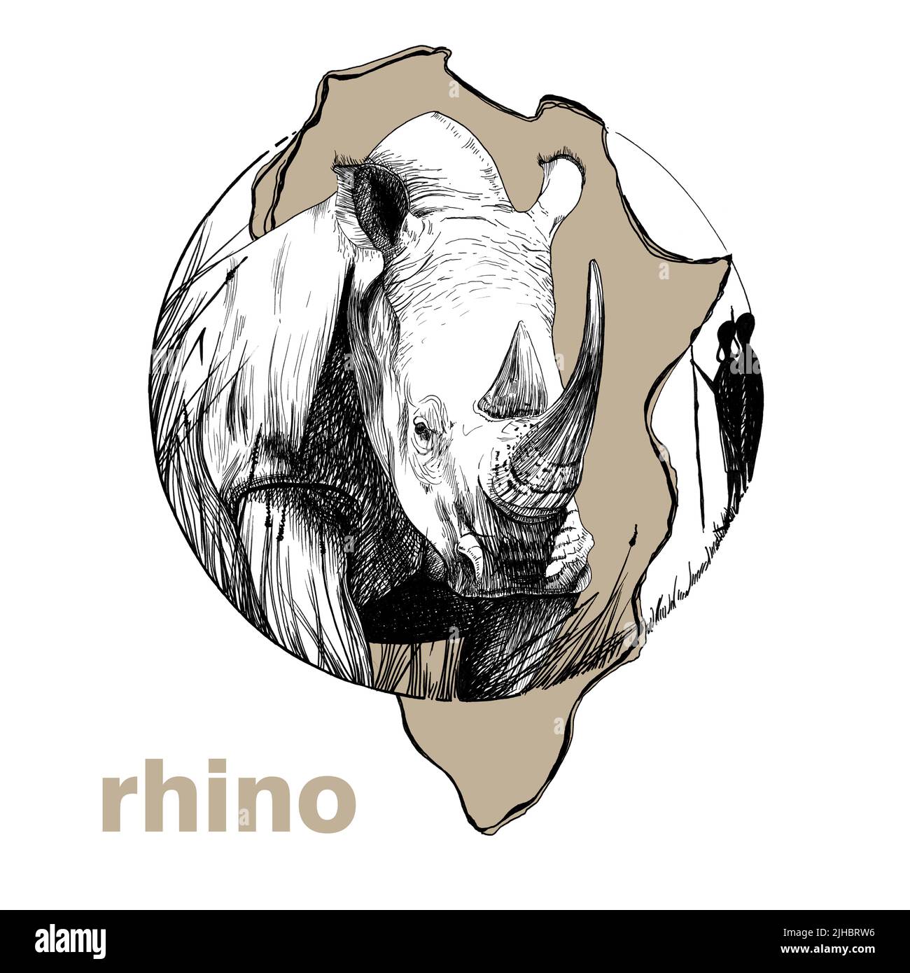 Rhinocéros dessiné à la main, illustration graphique d'esquisse sur fond blanc (originaux, pas de tracé) Banque D'Images