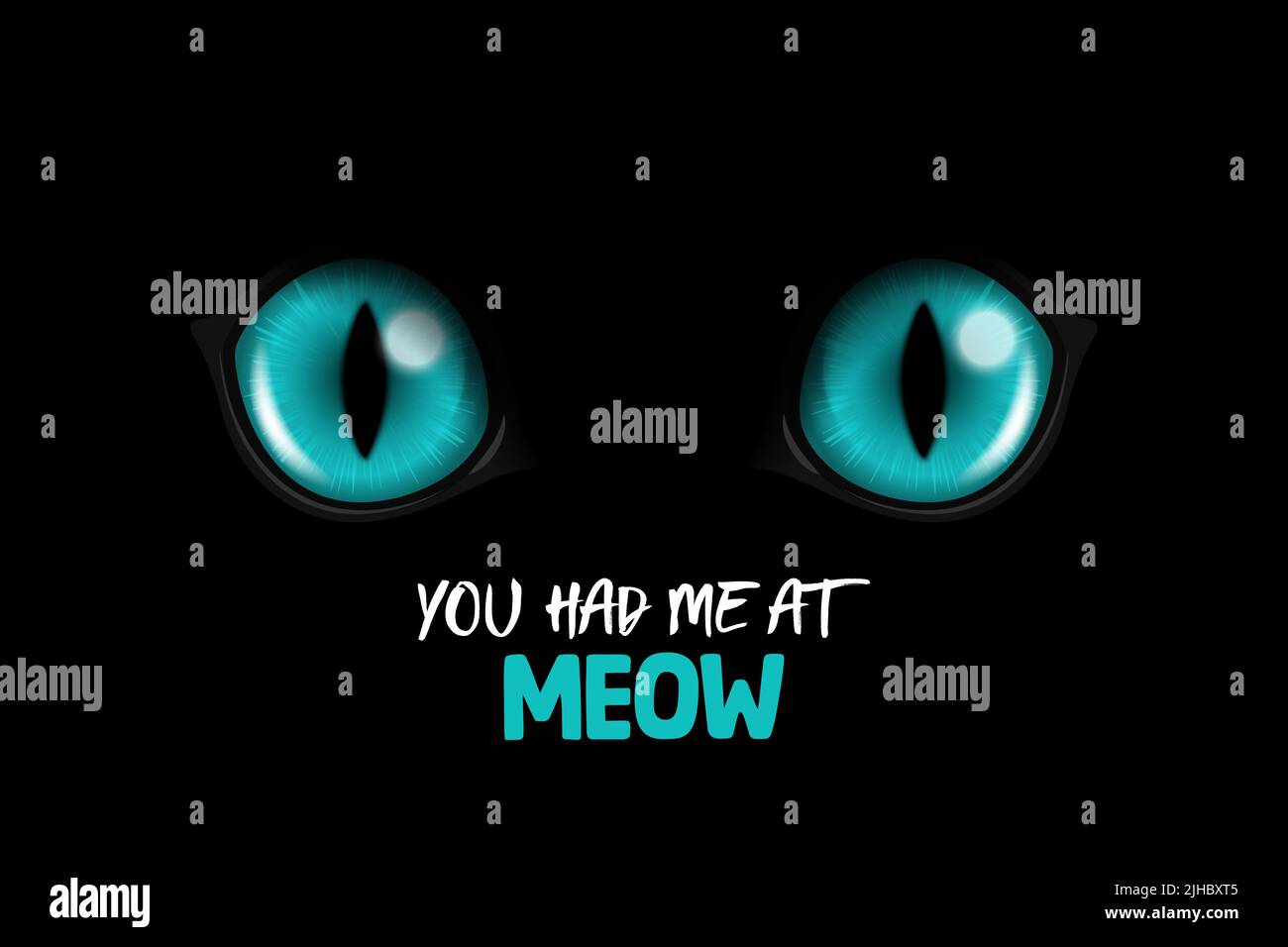 Tu m'avais à Meow. Vector 3D Realistic Blue Round luminescent Cats yeux d'un Noir Cat Gros plan CAT look in the Dark Black Background. Cat ou brillant Illustration de Vecteur
