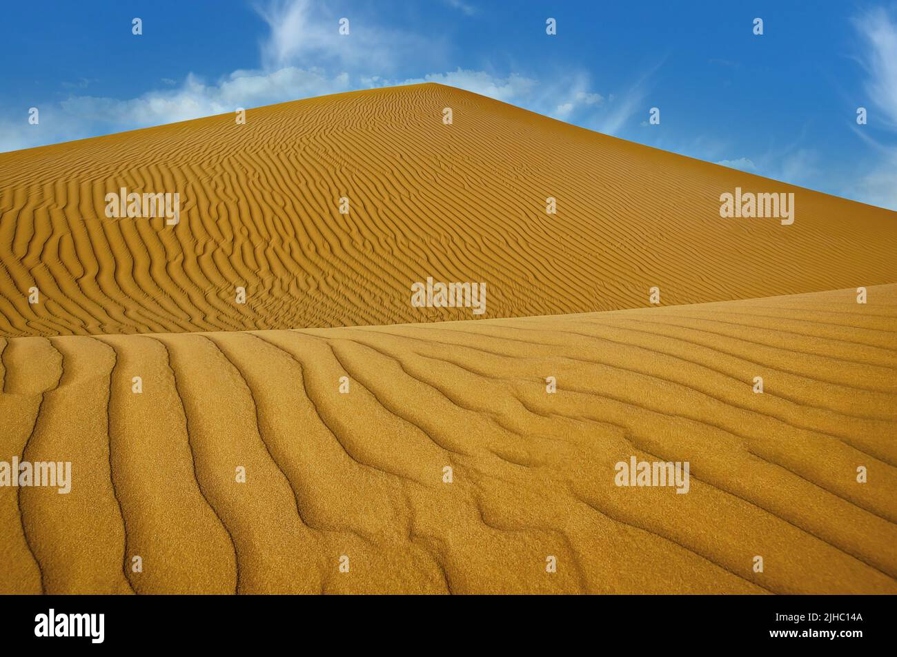 Dunes de sable dans le désert de Gobi Banque D'Images