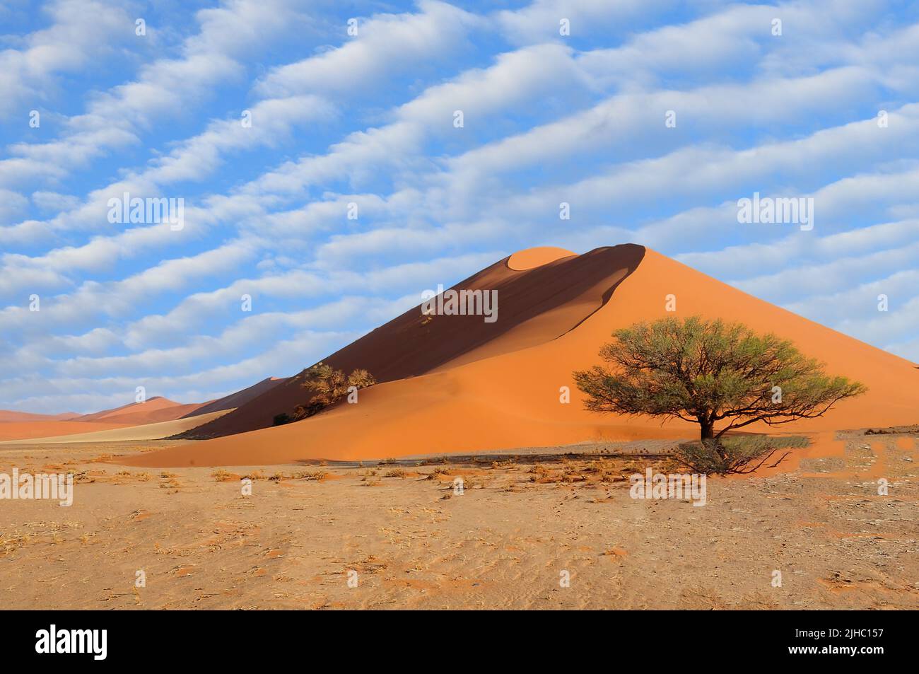 Dunes de sable dans le désert du Namib Banque D'Images