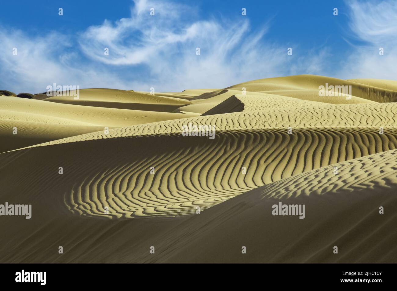 Dunes de sable dans le désert de Gobi Banque D'Images