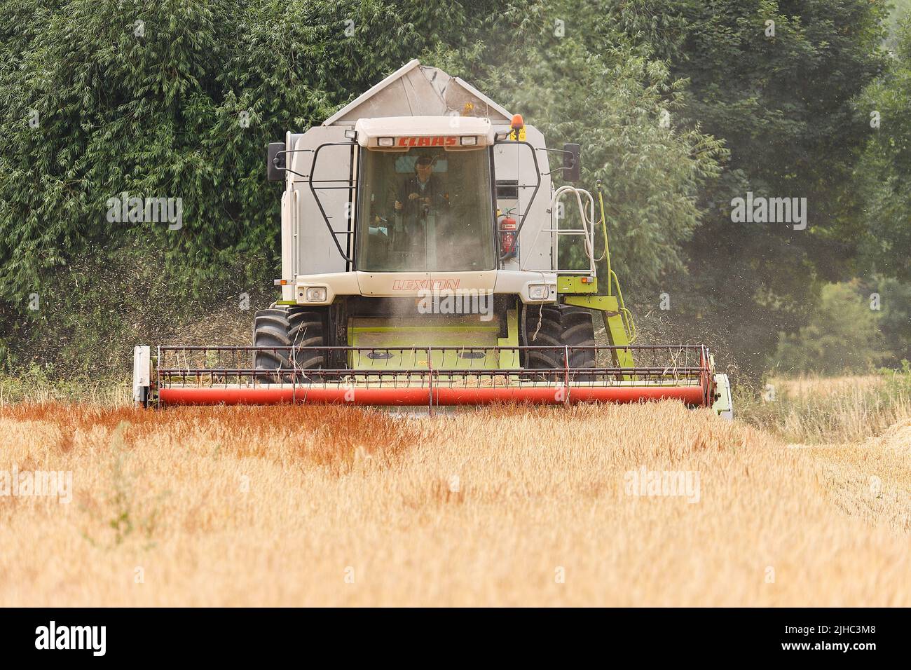 Moissonneuse-batteuse Claas Lexion 440, récolte d'orge à Leeds, West Yorkshire Banque D'Images