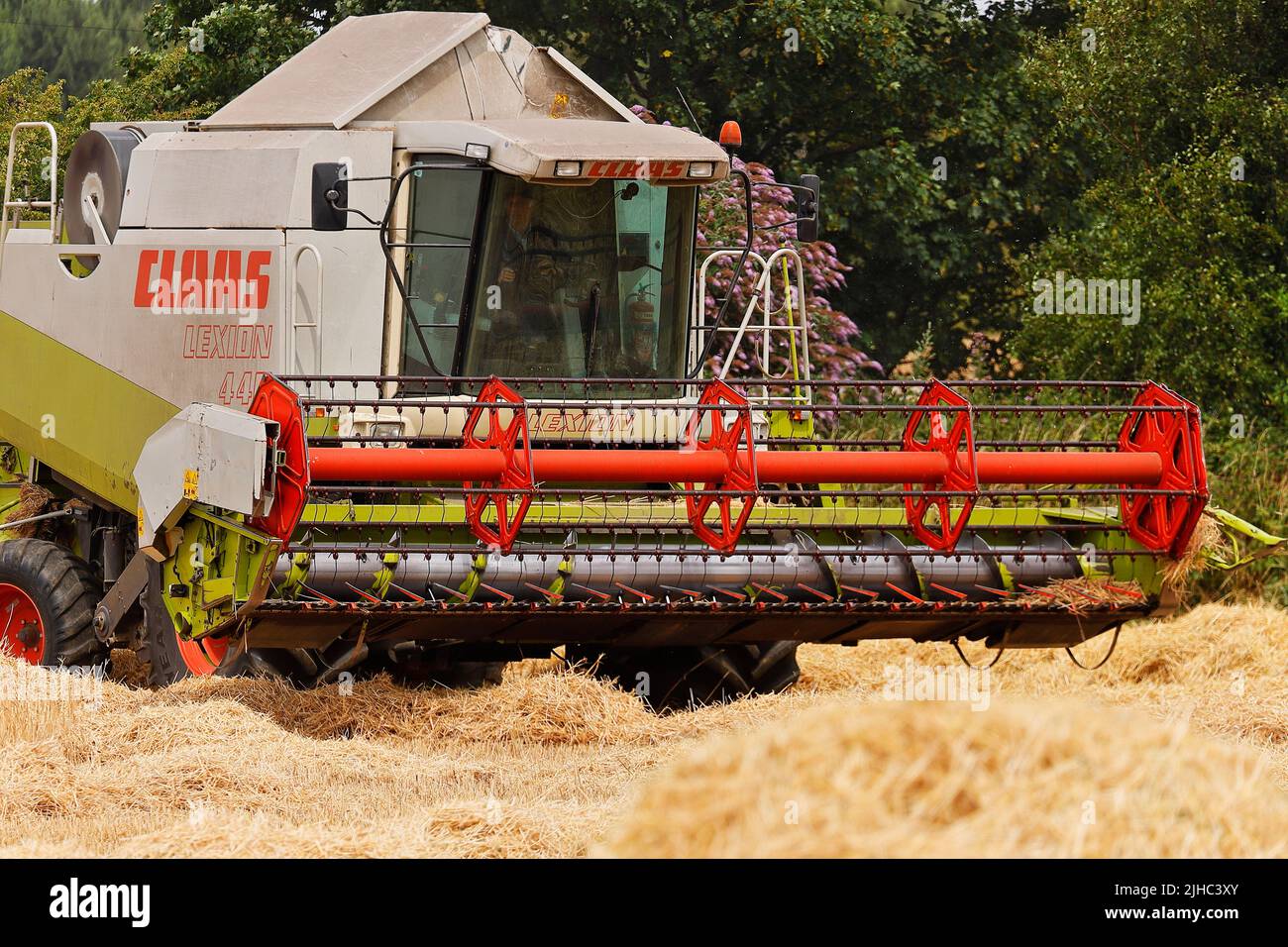 Moissonneuse-batteuse Claas Lexion 440, récolte d'orge à Leeds, West Yorkshire Banque D'Images