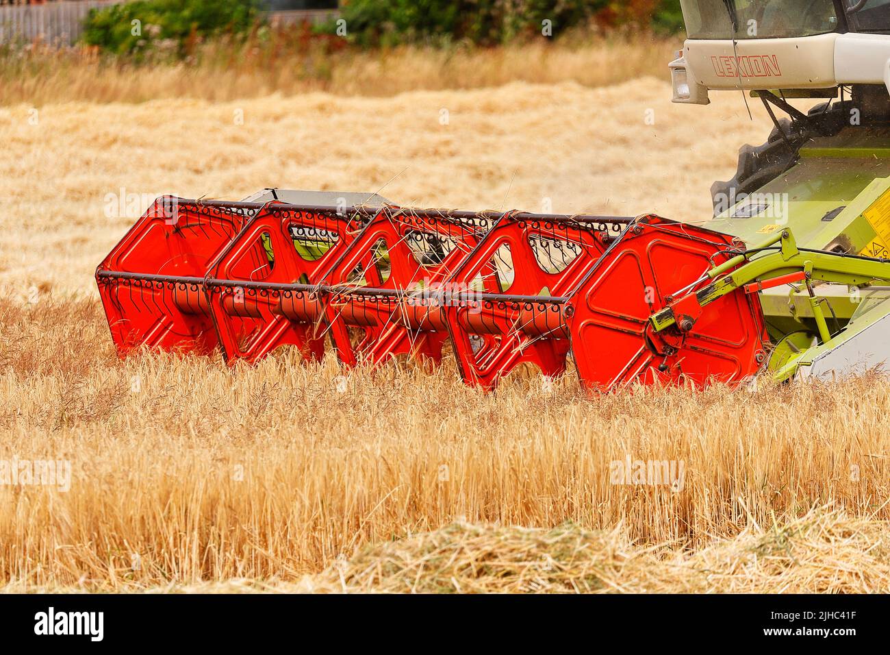 Barre de coupe Auto Contour Claas C600 pour couper l'orge Banque D'Images