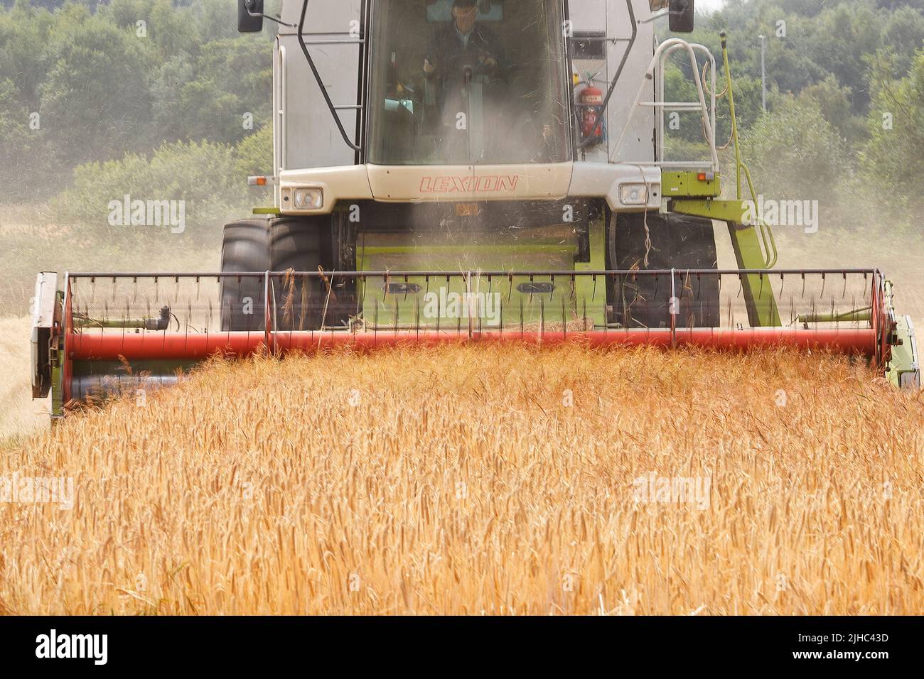 Moissonneuse-batteuse Claas Lexion 440, récolte d'orge à Leeds, West Yorkshire Banque D'Images