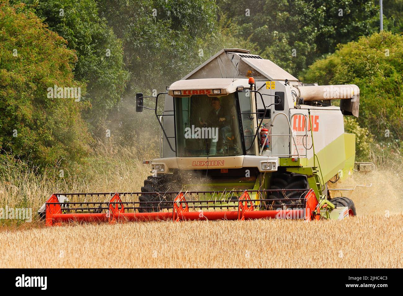 Moissonneuse-batteuse Claas Lexion 440, récolte d'orge à Leeds, West Yorkshire Banque D'Images