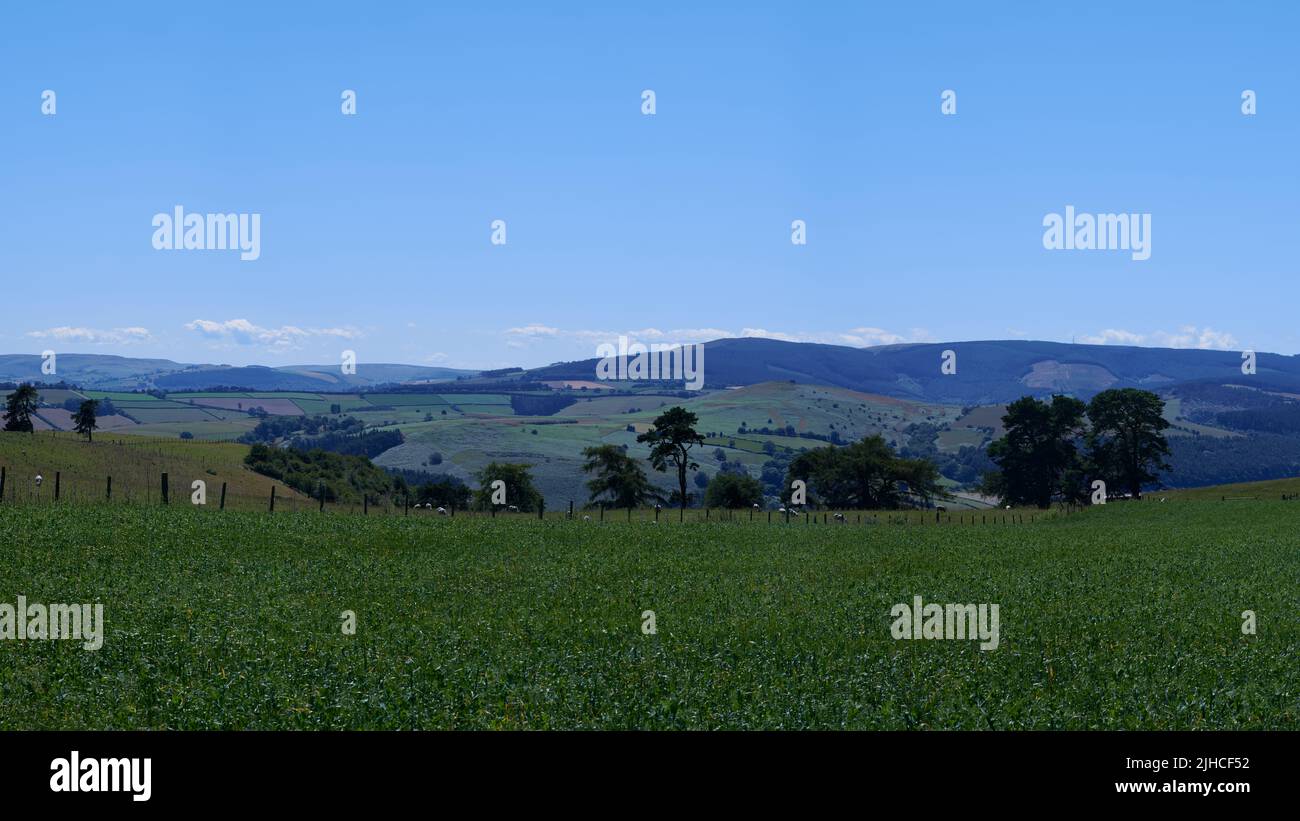 Clôture sur un champ vert et collines ondoyantes dans la campagne britannique en été sous ciel bleu Banque D'Images