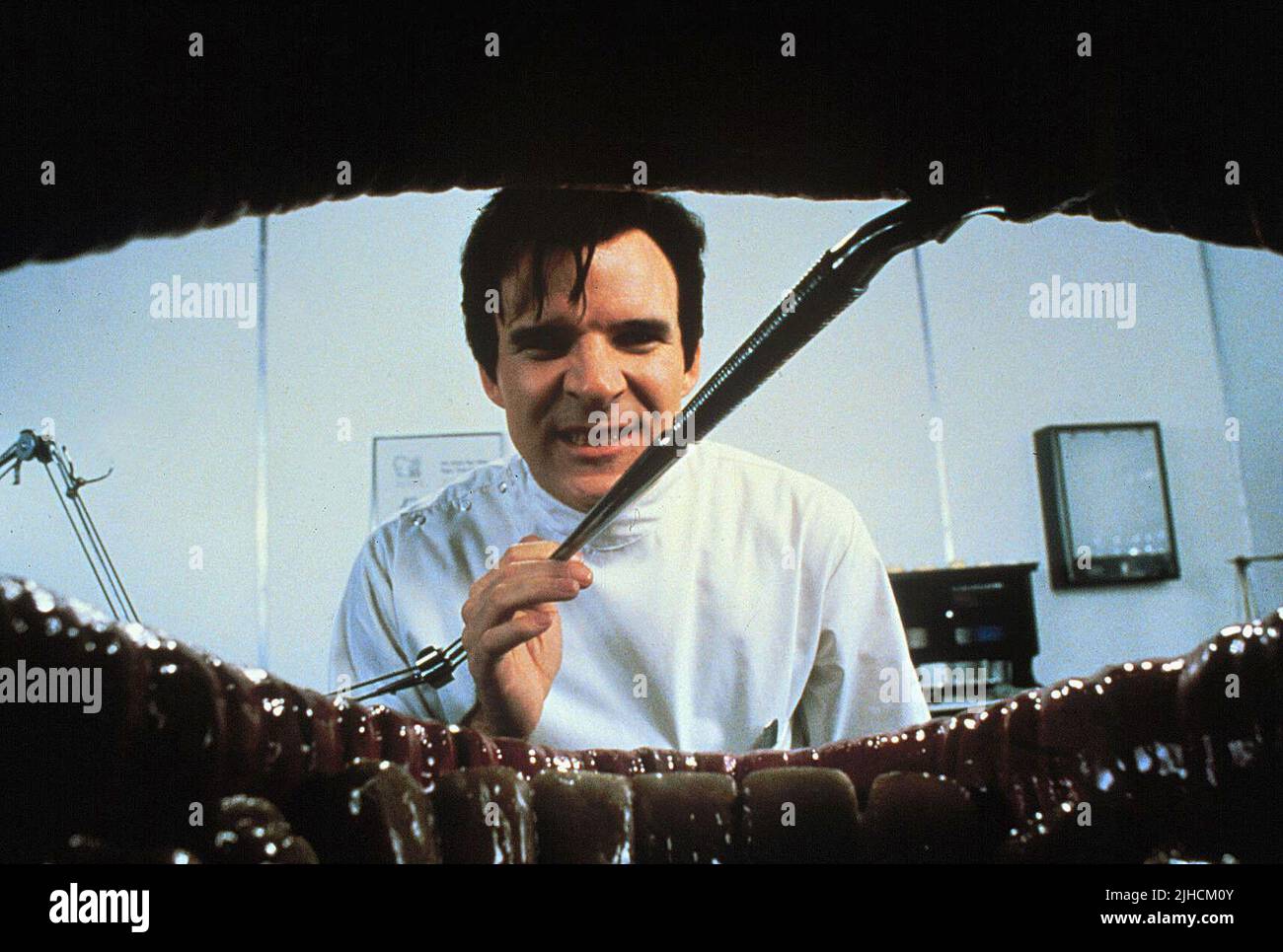 STEVE MARTIN, LITTLE SHOP OF HORRORS, 1986 Banque D'Images