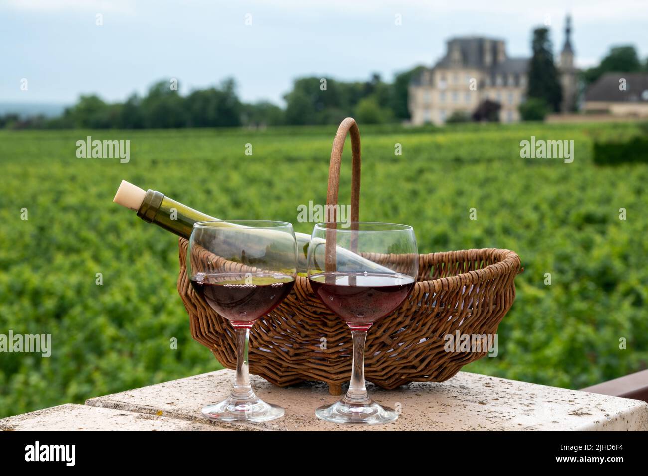 Dégustation de vin rouge sec de pinot noir en verres sur les vignobles de première et de grande cru dans la région viticole de Bourgogne près du village de Vosne-Romanée, en France Banque D'Images