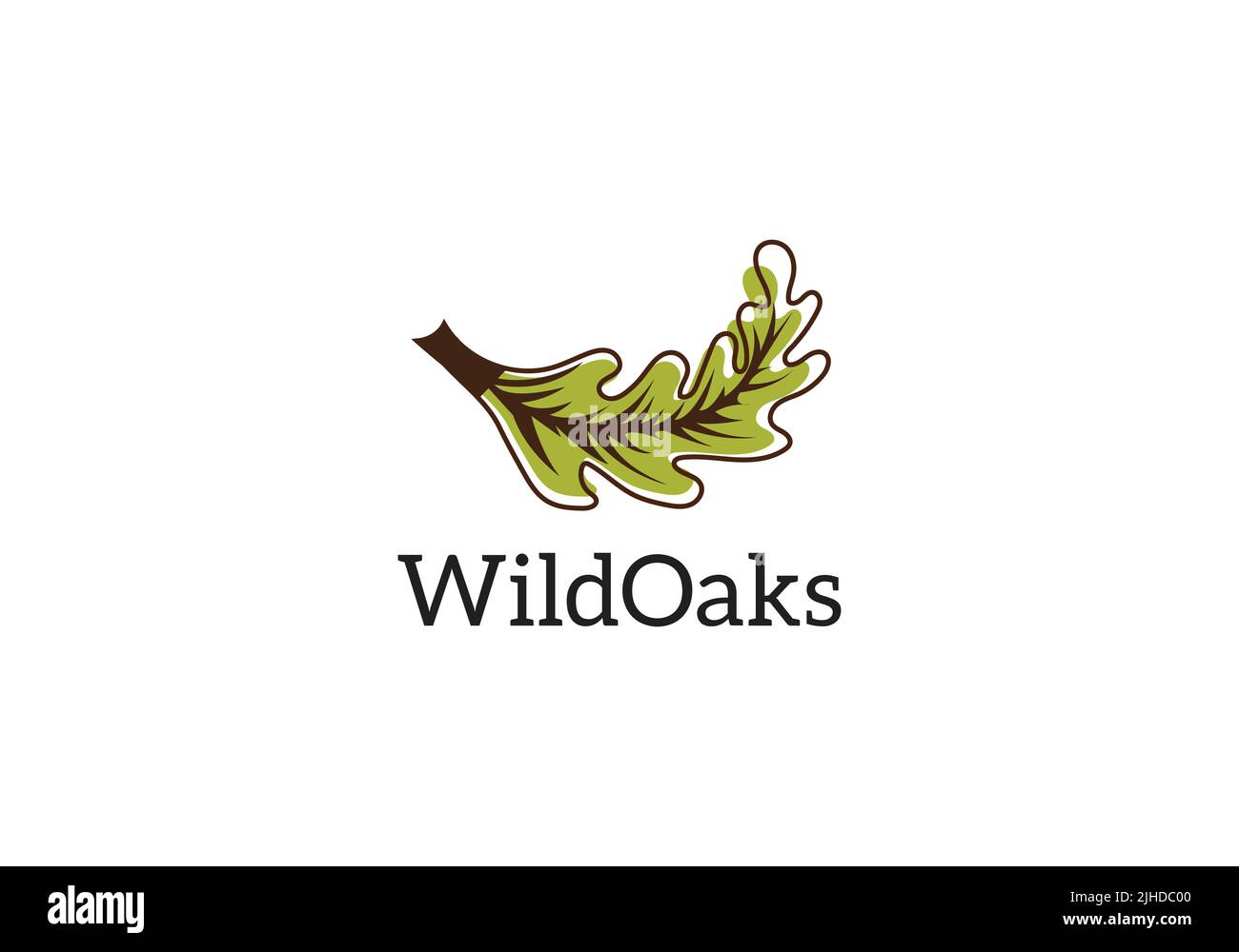 Logo WildOaks – conception d'emblème nature de feuille de chêne pour marque écologique ou produit biologique Illustration de Vecteur
