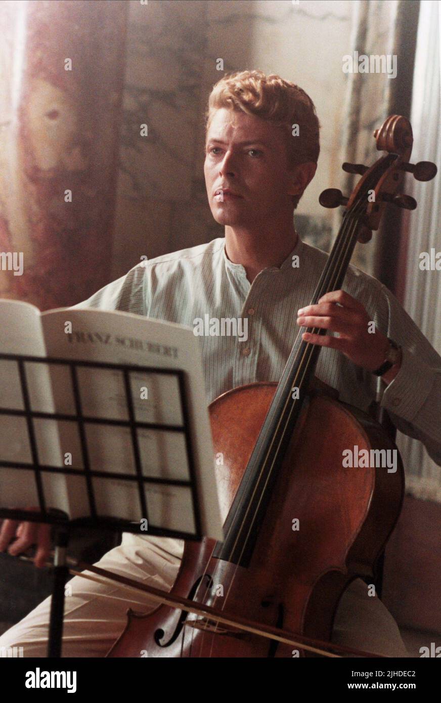 DAVID BOWIE, LA FAIM, 1983 Banque D'Images