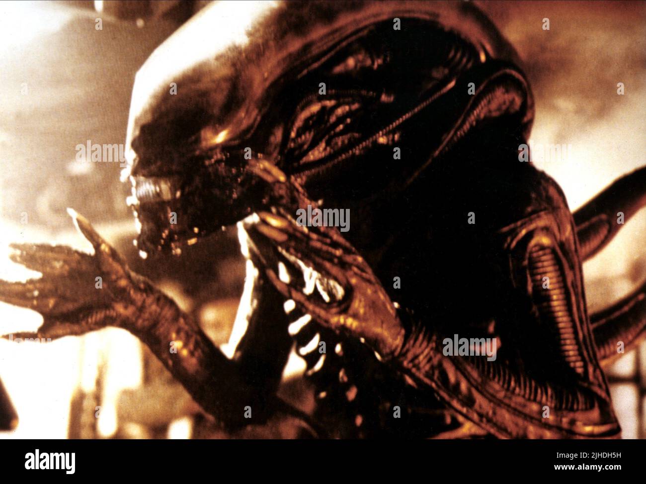 ALIEN, ALIEN, 1979 Banque D'Images