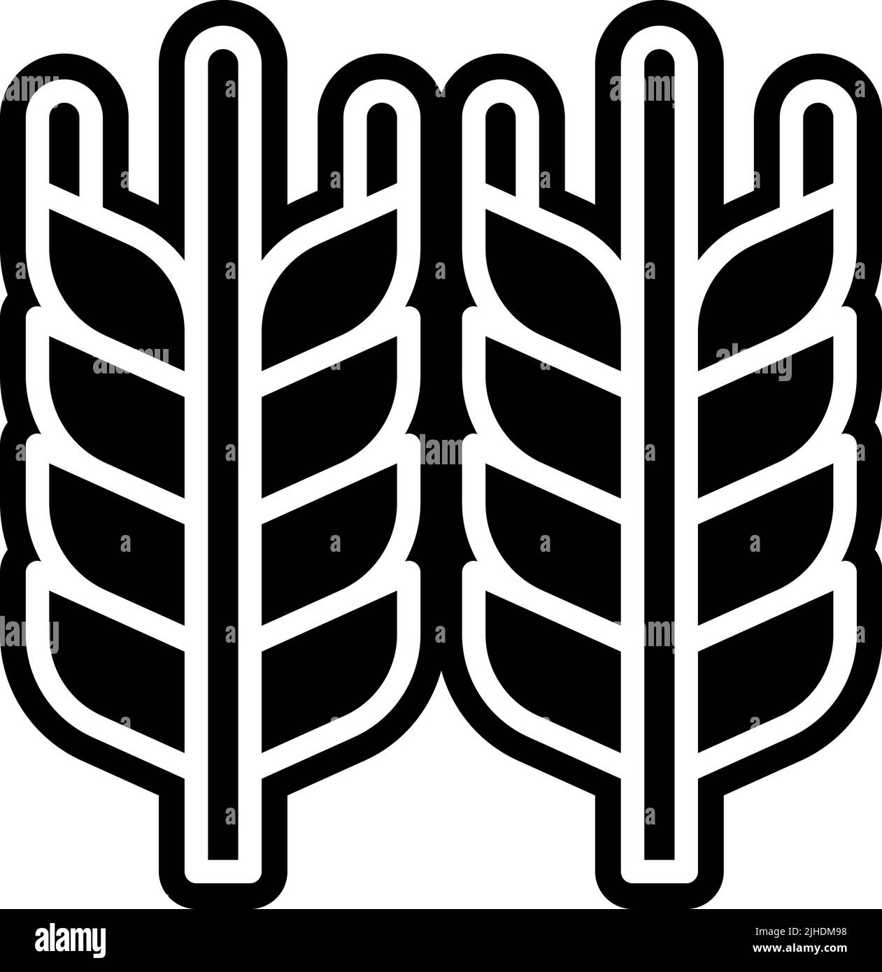 Blé Holi . Illustration de Vecteur