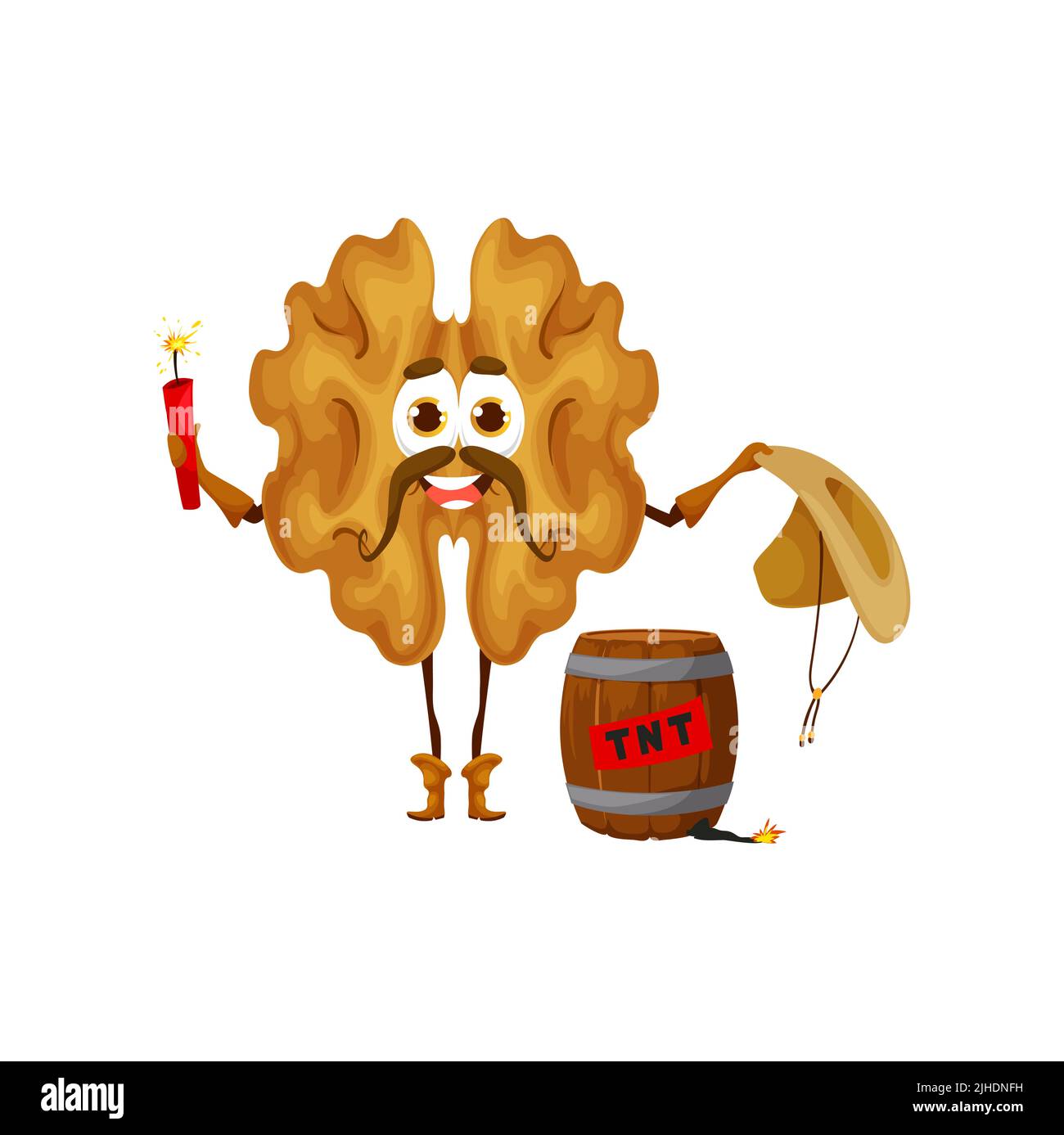 Personnage de dessin animé bandit de noyer avec TNT dynamite. Personnage de cow-boy sauvage de l'ouest de Vector Nut tenant une bombe avec un fusible étincelant et un chapeau. Livre ou jeu de rangeur américain moustaché de banque occidentale du texas Illustration de Vecteur