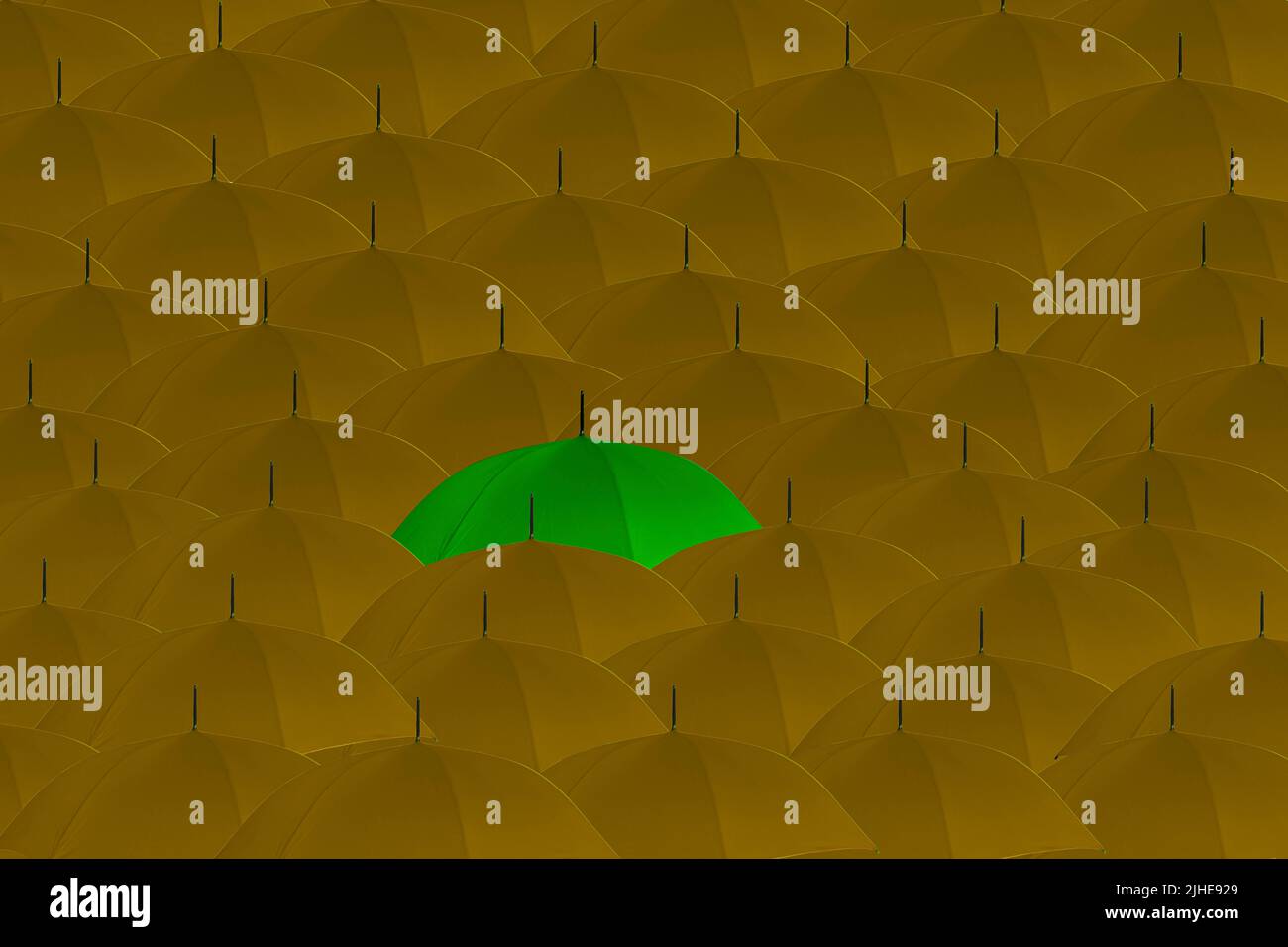 démarquez-vous de la foule étrange un hors concept foule de parasols jaunes un parapluie vert se démarquant Banque D'Images