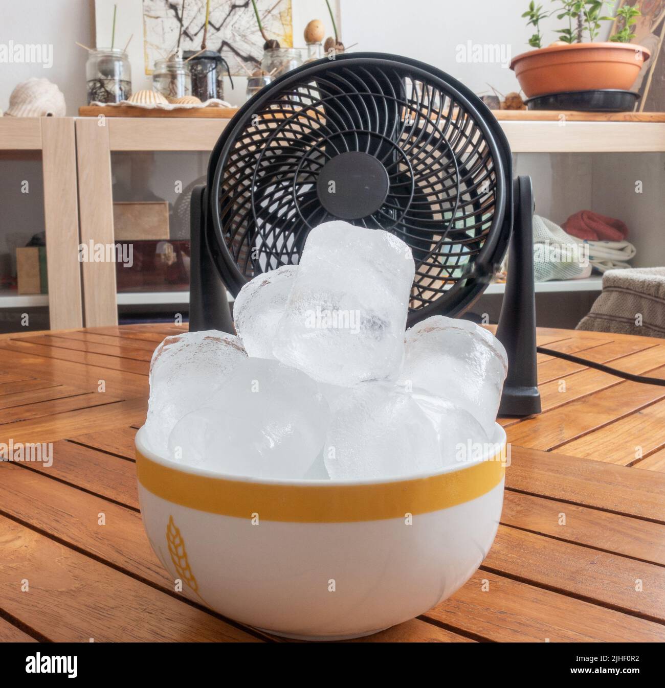 Bol de glace devant le ventilateur électrique pendant la vague de chaleur. Banque D'Images