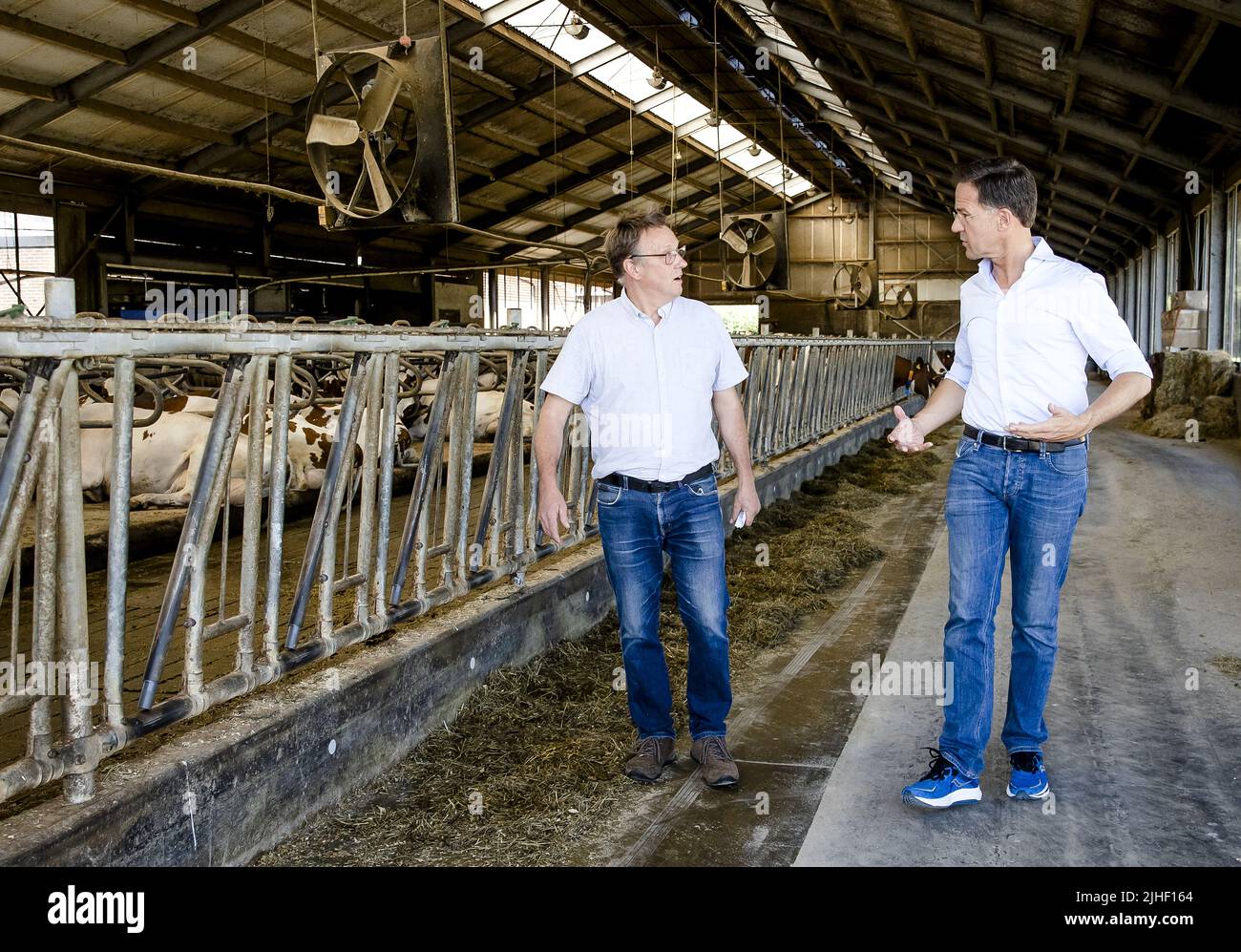 Kelpen-Oler, pays-Bas. 18th juillet 2022. 2022-07-18 10:50:54 KEPLEN-OLER - le Premier ministre Mark Rutte est donné une visite d'un abri de vache lors d'une visite à une ferme dans la Peel pour parler des plans d'azote. ANP SEM VAN DER WAL pays-bas Out - belgique Out crédit: ANP/Alay Live News Banque D'Images