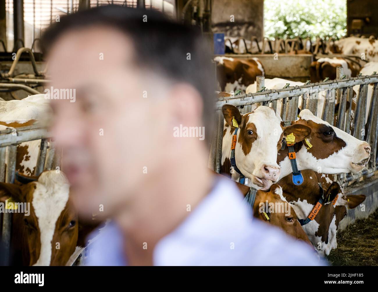 Kelpen-Oler, pays-Bas. 18th juillet 2022. 2022-07-18 13:12:41 KEPLEN-OLER - le Premier ministre Mark Rutte parle à la presse lors d'une visite à une ferme dans la Peel pour parler des plans d'azote. ANP SEM VAN DER WAL pays-bas Out - belgique Out crédit: ANP/Alay Live News Banque D'Images