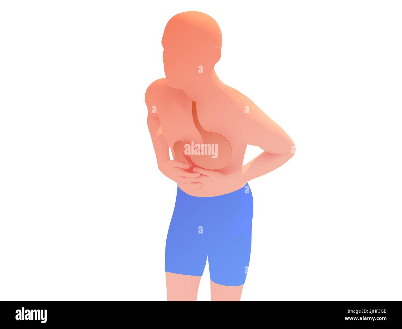3d illustration de la figure humaine avec mal d'estomac. Montrant la silhouette de l'organe digestif, avec des couleurs naturelles. Banque D'Images