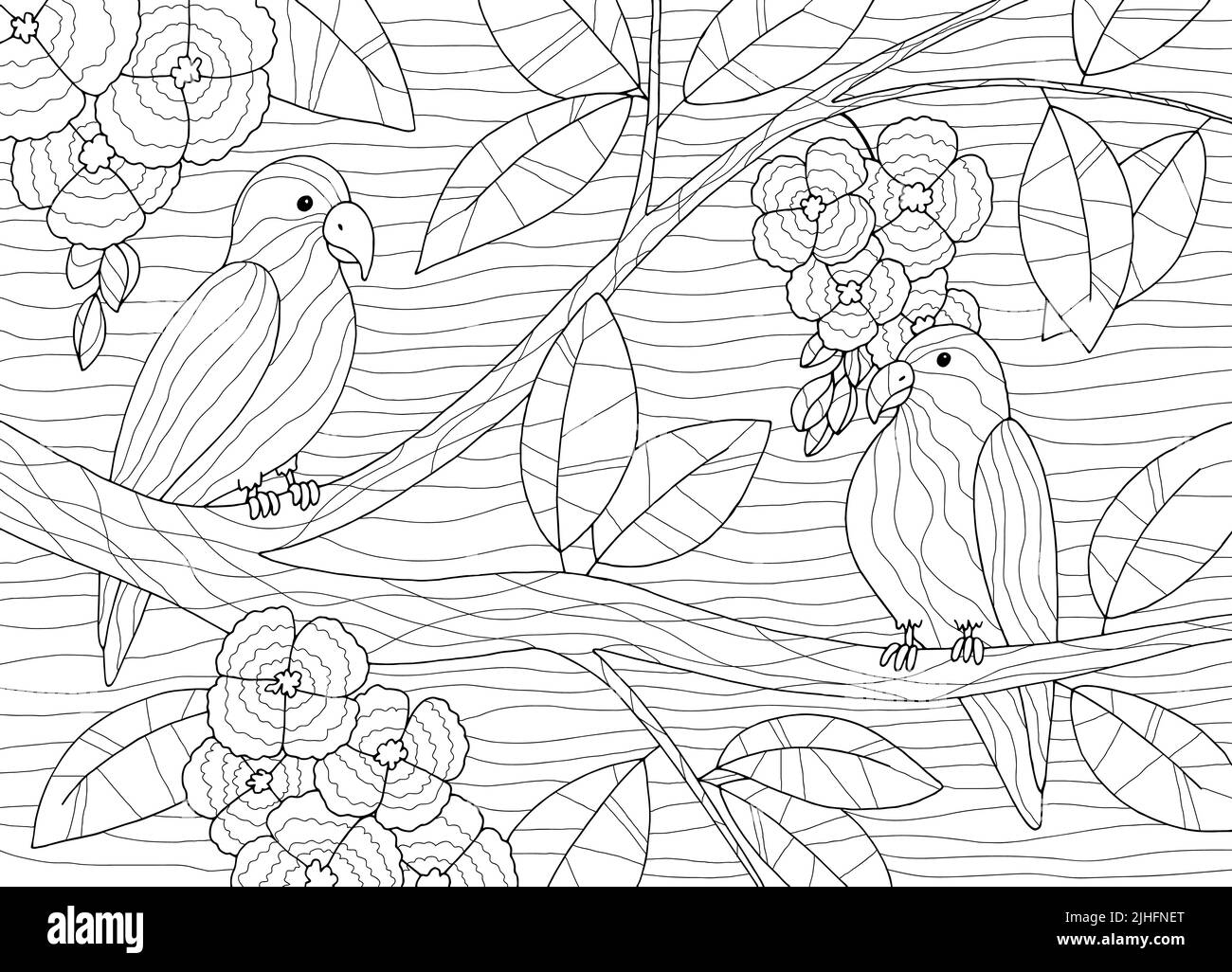 Parrot coloriage assis sur l'arbre birdhouse graphique noir blanc esquisse illustration vecteur Illustration de Vecteur