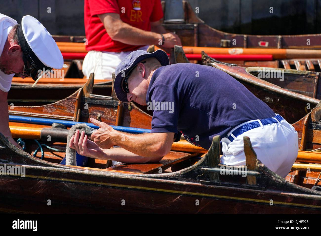 Les cygnes vérifient un cygnet près de Staines-upon-Thames dans le Surrey, pendant la tradition antique de Swan upping, le recensement annuel de la population de cygnes sur la Tamise. Date de la photo: Lundi 18 juillet 2022. Banque D'Images