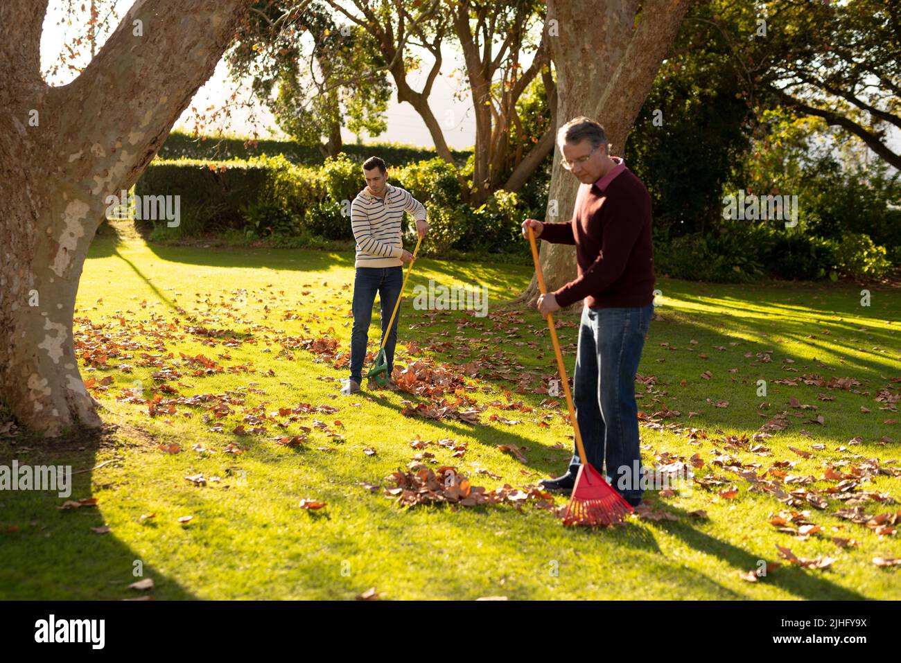 Image d'un père caucasien et d'un fils adulte qui balaie les feuilles dans le jardin Banque D'Images