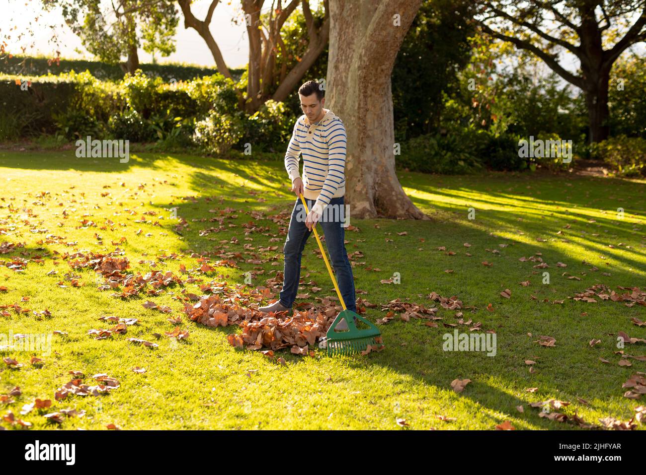 Image d'un homme caucasien heureux qui balaie les feuilles dans le jardin Banque D'Images