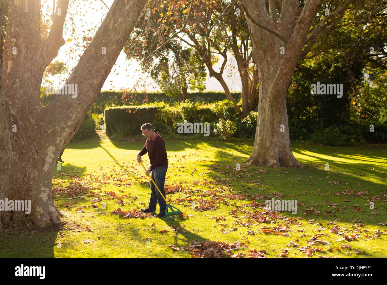 Image d'un homme âgé caucasien heureux qui balaie les feuilles dans le jardin Banque D'Images