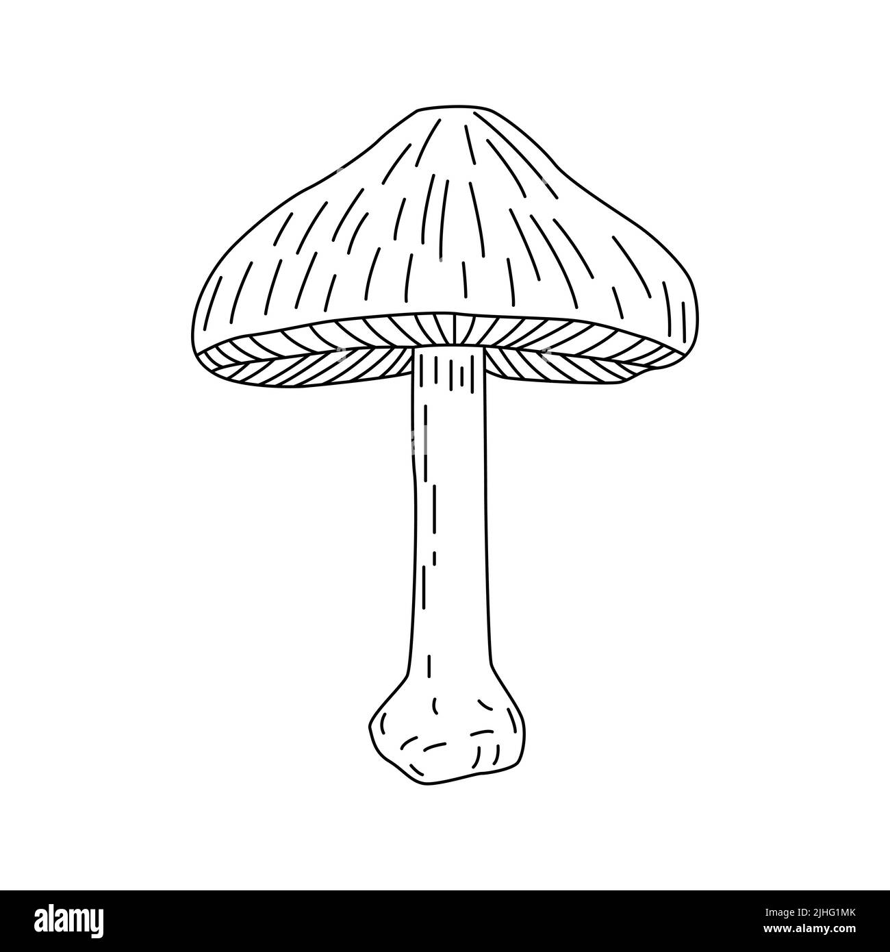 Logo d'illustration en forme de champignon. Les champignons tattoo sont très détaillés. Clip art noir et blanc sur fond blanc. Gravure ancienne Illustration de Vecteur