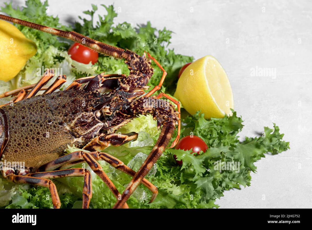 Langoustine fraîche ou écrevisses de mer avec salade, tomates et citron, préparation pour la cuisson de homard méditerranéen commun avec des ingrédients frais sur le GRA Banque D'Images