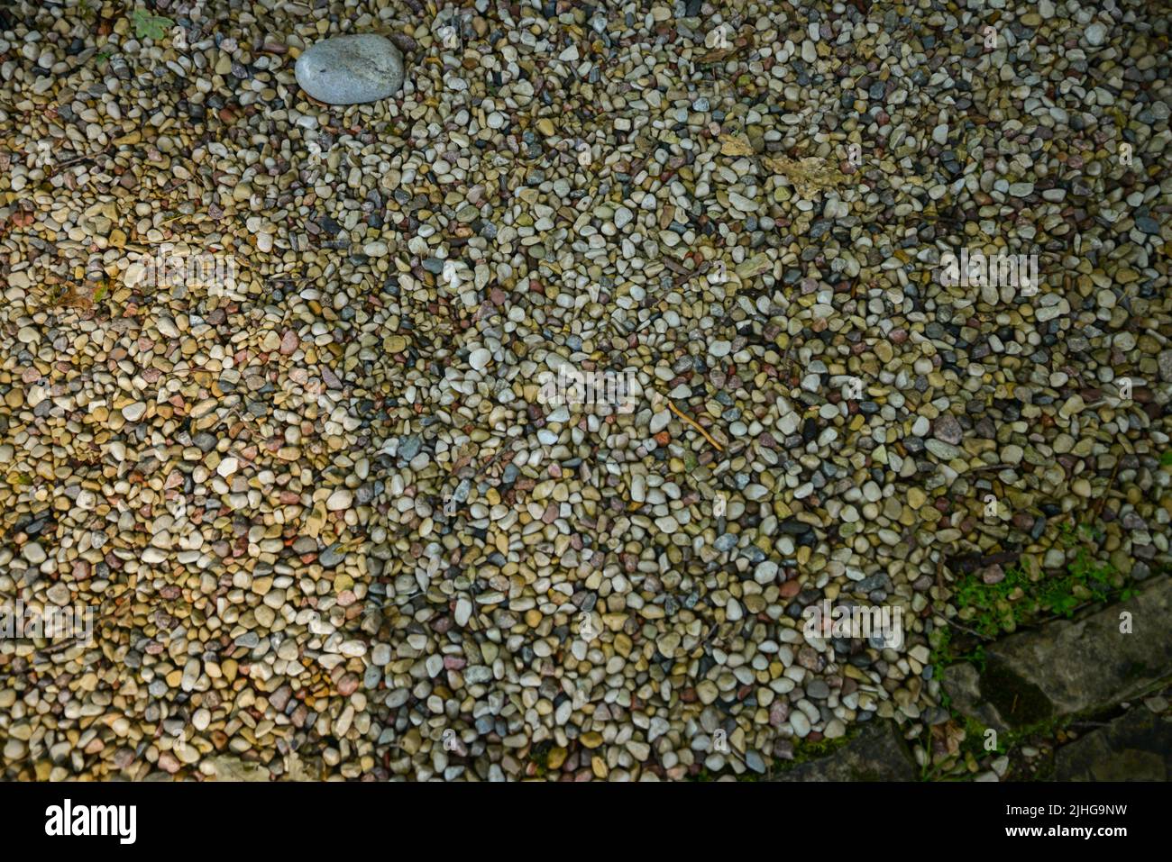 Texture Pebbles blanche propre. Petites pierres sur le sol. Vue de dessus de gravier naturel coloré sur la plage d'été Banque D'Images