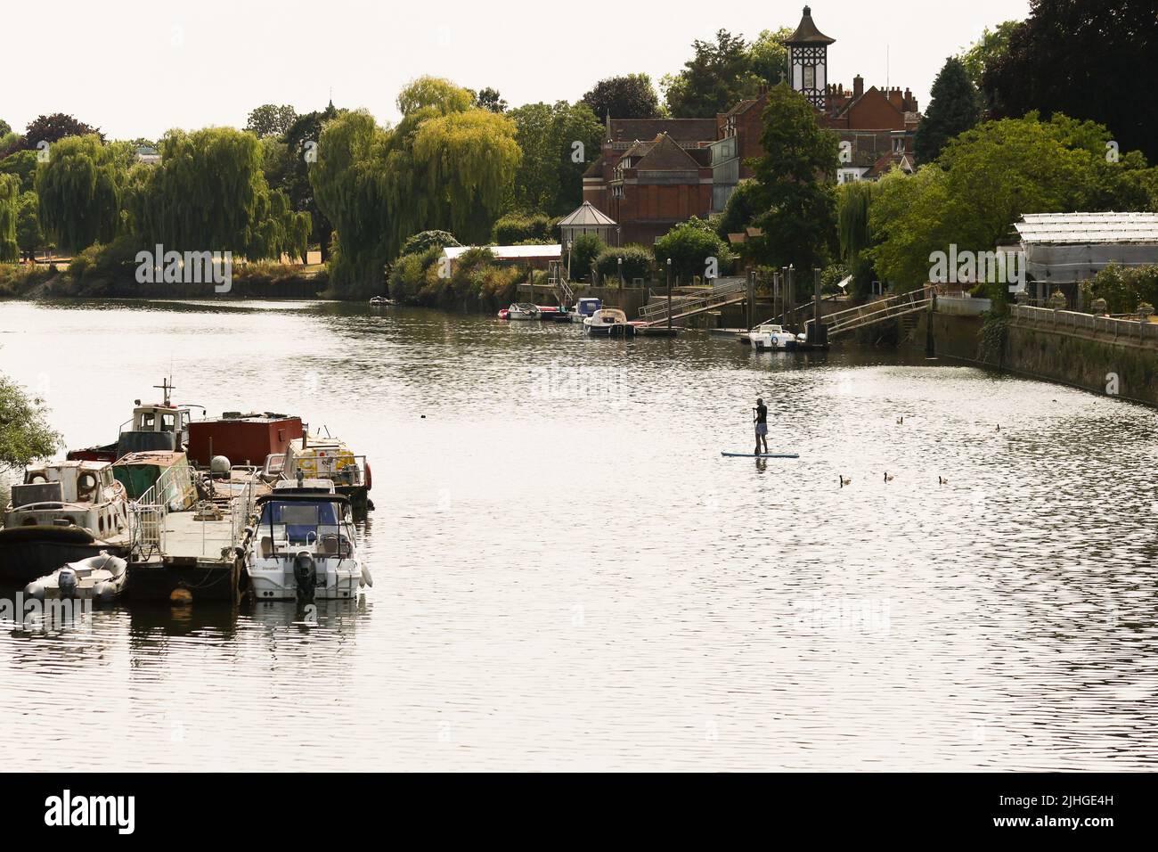 Londres, Royaume-Uni. 18 juillet 2022 Un paddleboarder garde au frais sur la Tamise pendant une journée de températures exceptionnellement élevées Andrew Fosker / Alamy Live News Banque D'Images