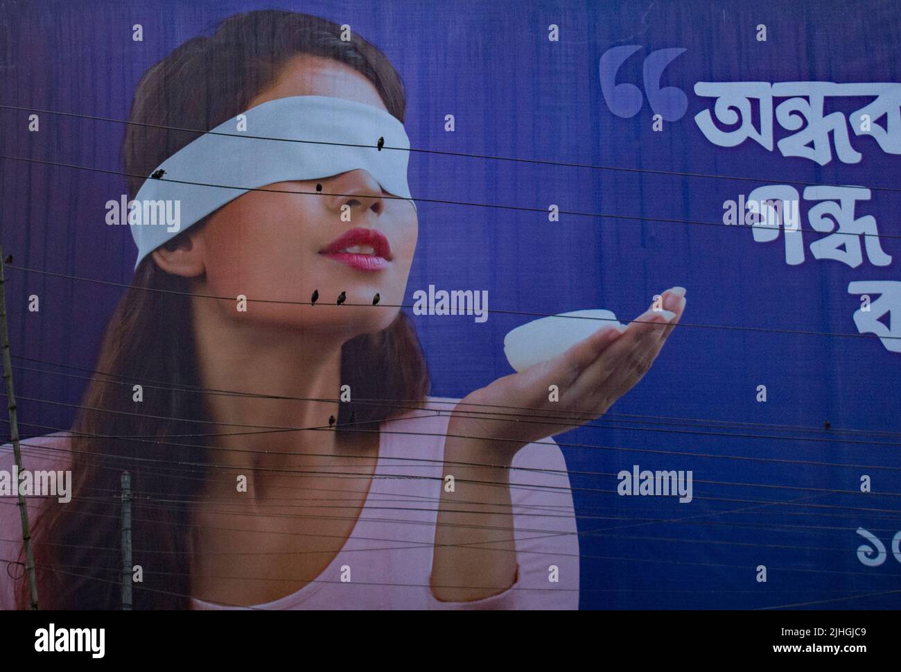 Les oiseaux semblent être les yeux des femmes sur le panneau d'affichage, Bogra, Bangladesh Banque D'Images