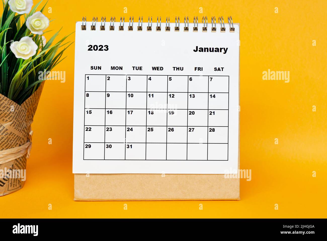Calendrier blanc de janvier 2023 avec plante en pot sur fond jaune. Banque D'Images