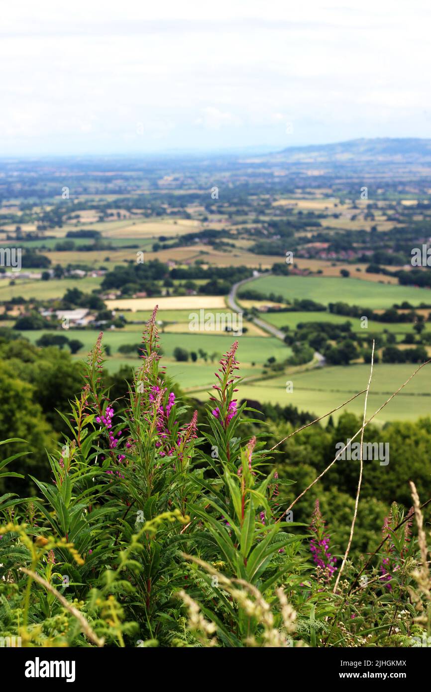 Le paysage vallonné des collines de Malvern, près du camp britannique Banque D'Images