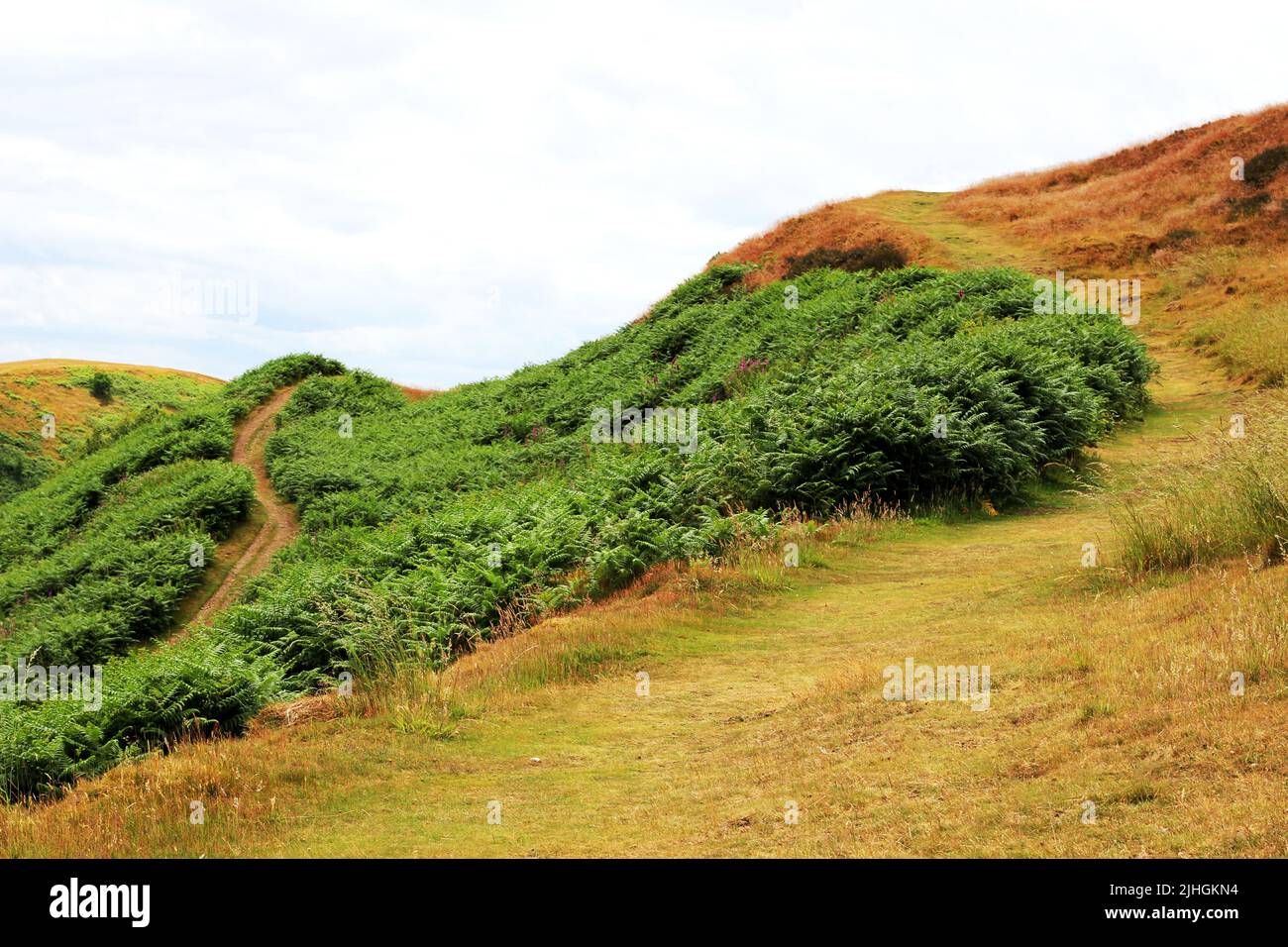 Le paysage vallonné des collines de Malvern, près du camp britannique Banque D'Images