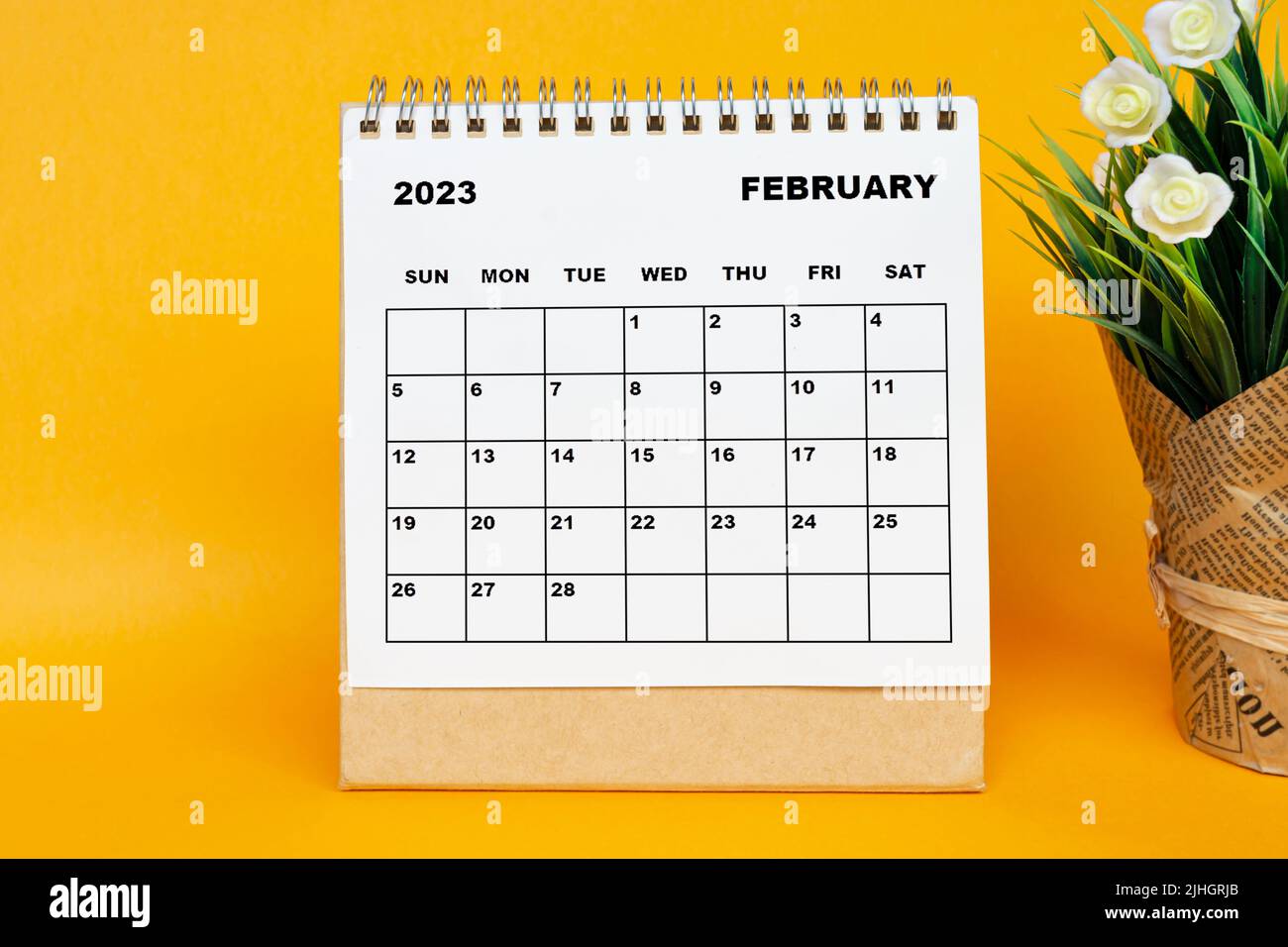 Calendrier blanc de février 2023 avec plante en pot sur fond jaune. Banque D'Images