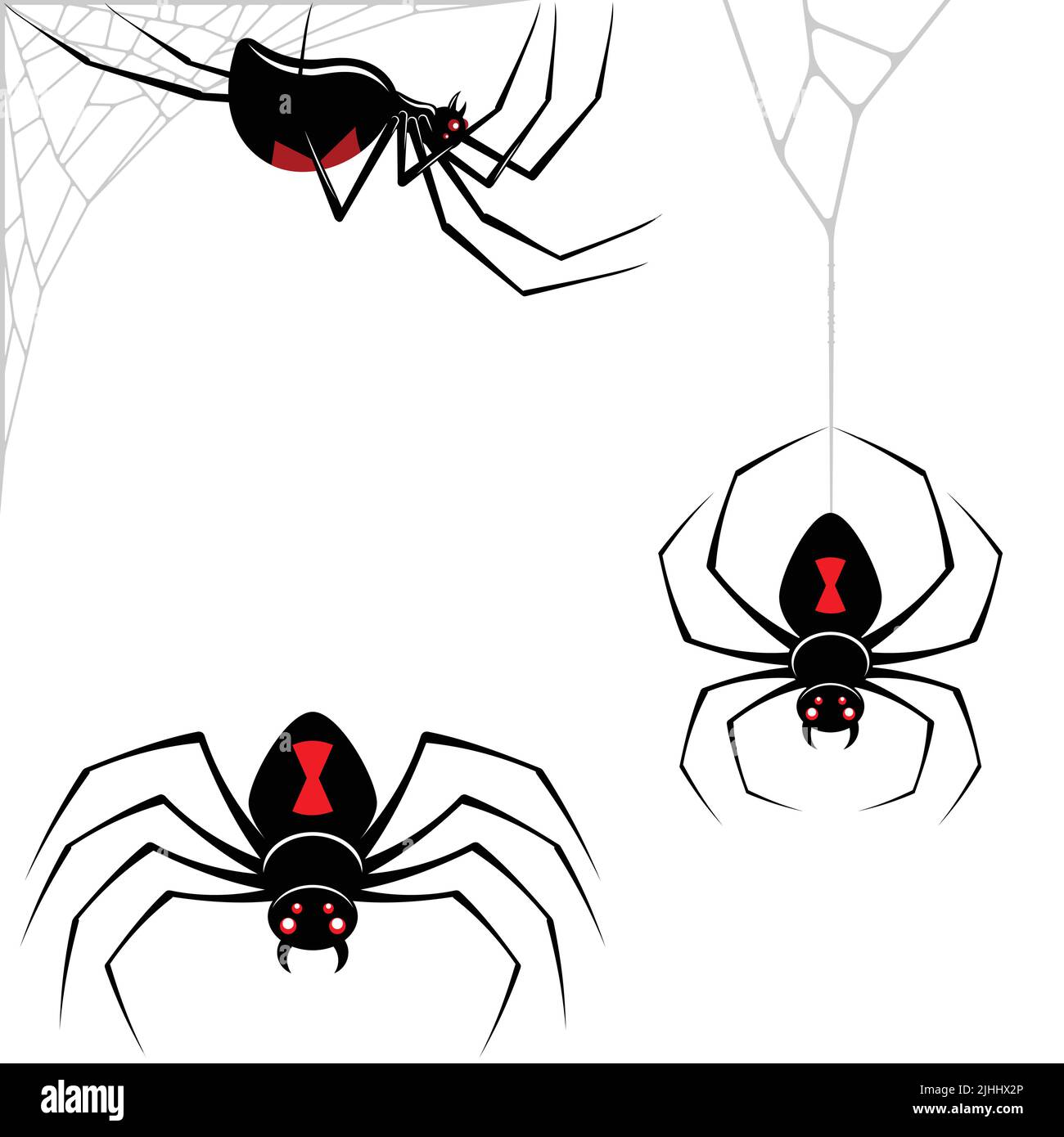 Black Widow Spider Vector Design, Spider Latrodectus mactans, arachnide avec toile d'araignée Illustration de Vecteur