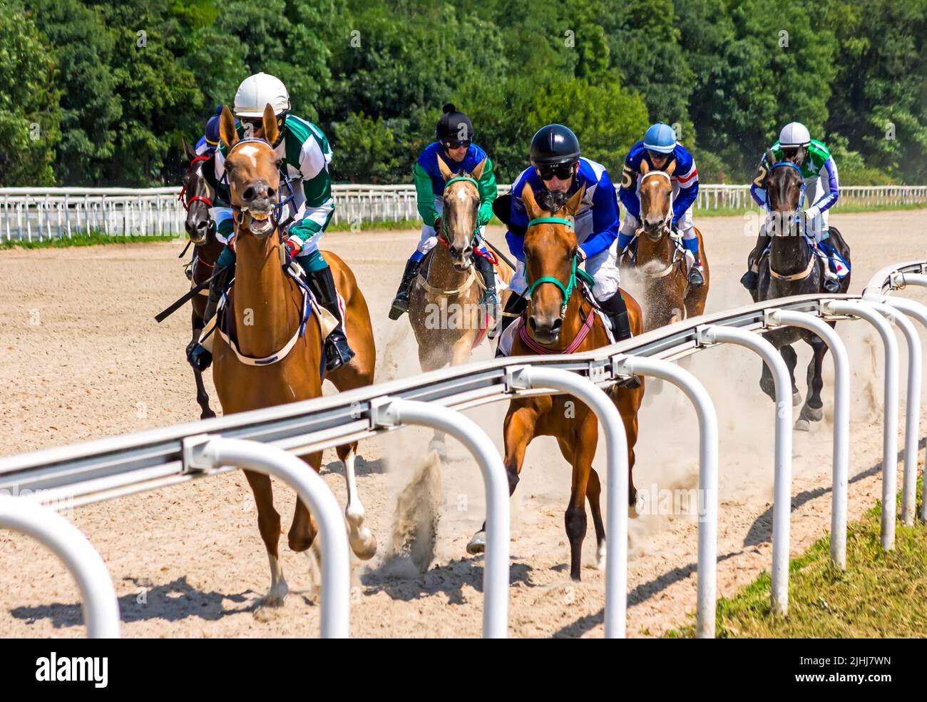 Course de chevaux pour le prix de l'été,la Russie. Banque D'Images