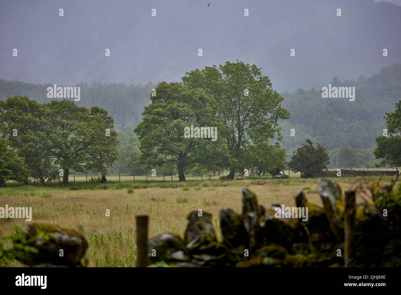 La promenade de pub dans le Lake District, Cumbria dans le nord-ouest de l'Angleterre, en prenant dans Crummock Water. Photo de terres agricoles dans la partie nord du lac Banque D'Images
